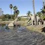 La Brea Tar Pits - George Page Museum