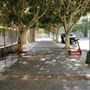 Grand Hope Park