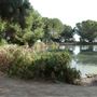 Ernest E. Debs Regional Park
