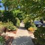 Bakman Ave House