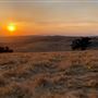 Big Sky Movie Ranch