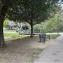 La Brea Tar Pits - George Page Museum