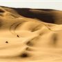 Dumont Dunes - Bureau of Land Management - BLM