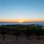 McPrice Myers Wines