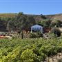 McPrice Myers Wines