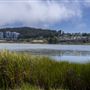 Albany State Marine Reserve - State Lands Commission (SLC)
