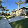 Windsor Square Neighborhood