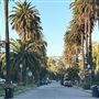 Hancock Park Neighborhood