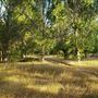 The Painted Turtle Camp