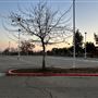 Fresno City College (FCC)