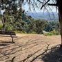 Griffith Park Redwoods - Cedar Grove