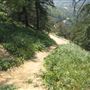 Griffith Observatory - Griffith Park