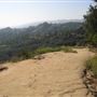 Griffith Observatory - Griffith Park