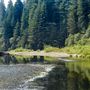 Humboldt Redwoods State Park (SP)