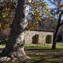 Marshall Gold Discovery State Historic Park (SHP)