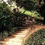 Los Angeles County Arboretum