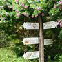 Cambria Pines Lodge & Cambria Christmas Market