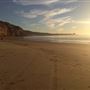Blacks Beach and Scripps Institution of Oceanography Pier @ UC San Diego - UCSD