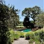 Olive Oaks