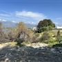 Peck Road Water Conservation Park