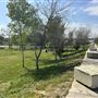 Peck Road Water Conservation Park