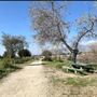 Peck Road Water Conservation Park