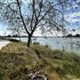 Peck Road Water Conservation Park