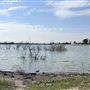 Peck Road Water Conservation Park