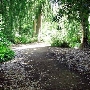 Los Angeles County Arboretum