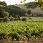 Mt. Vernon Winery
