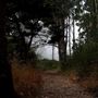 Belinda Point Public Access Trail