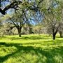 Aukum Ranch