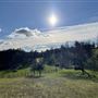 Aukum Ranch