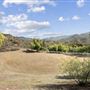 RAINE Ranch