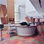 Walt Disney Concert Hall - Los Angeles Music Center