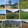 60 Acres Ranch