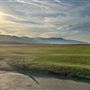 Skydive Elsinore