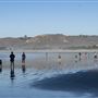 Morro Bay State Park (SP)