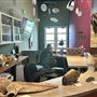 Wester Science Center
