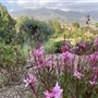 La Canada-Flintridge Country Club