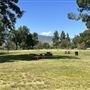 Santa Fe Dam Recreational Area