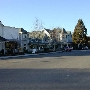 Los Olivos