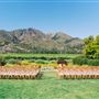 St. Francis Winery & Vineyards