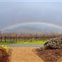 St. Francis Winery & Vineyards
