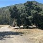 Peter Strauss Ranch - National Park Service (NPS)