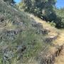 Peter Strauss Ranch - National Park Service (NPS)