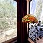 Rustic and Artistic Woodland Home