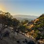 Solace Ranch & Vineyard