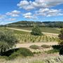 Halter Ranch