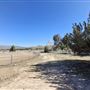 Acton Ranch